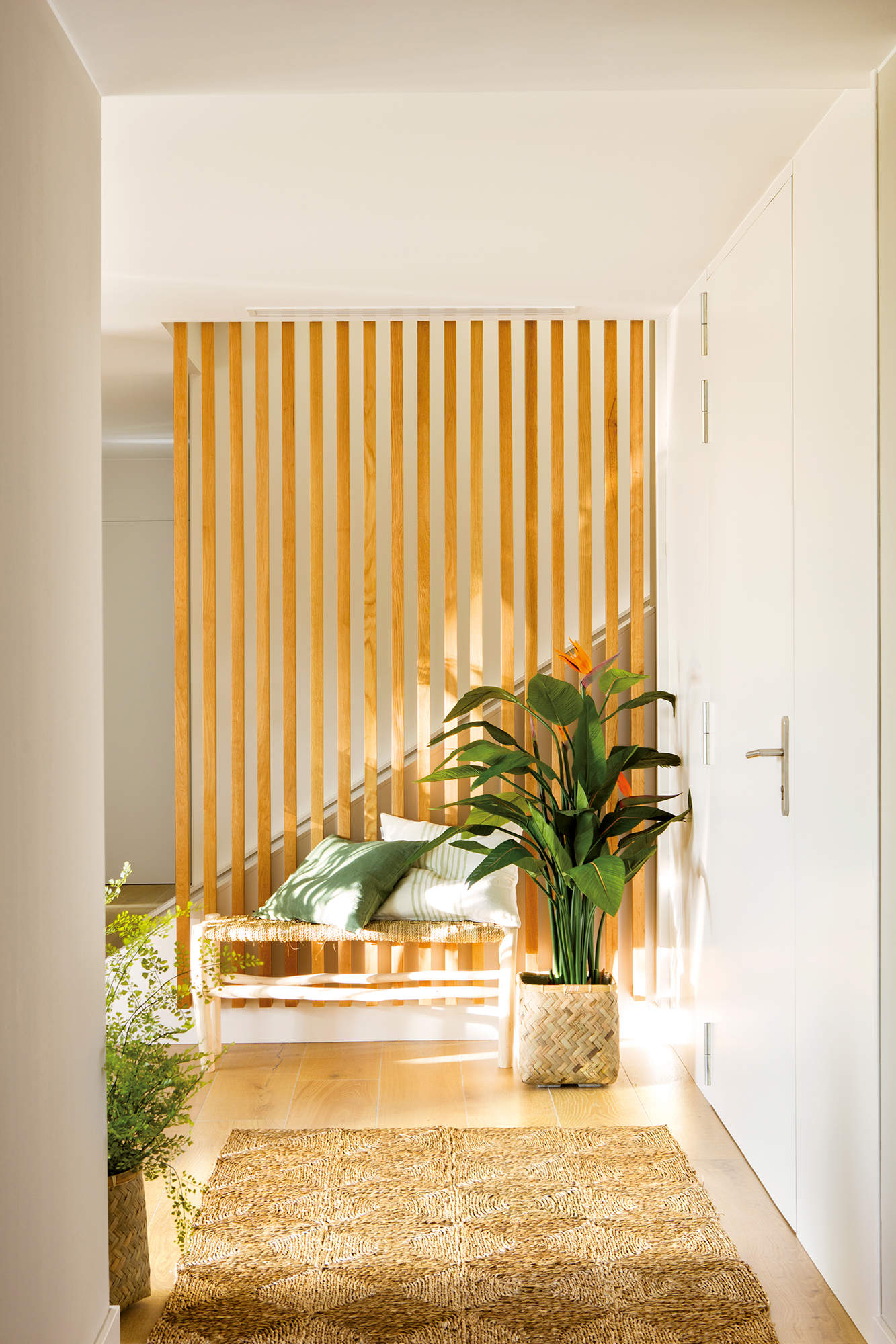 Recibidor pequeño con listones de madera natural y entrada de luz solar. Alfombra marrón y planta alta en maceta de fibras naturales. 