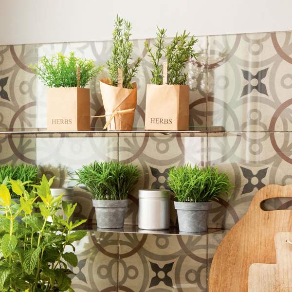 6 plantas aromáticas (y de interior) que podrás utilizar en tu cocina todo el verano