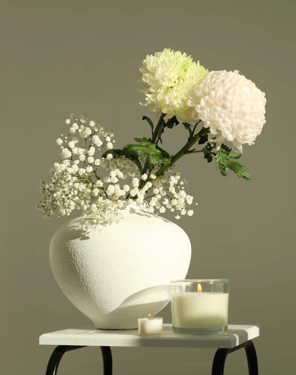 La 'planta de la felicidad' que ahuyenta a todos los insectos: colorida e ideal para decorar cualquier rincón de tu casa
