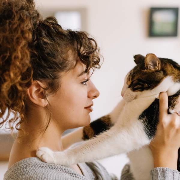 Encontramos las 5 mejores aspiradoras para eliminar el pelo de mascotas de tu casa