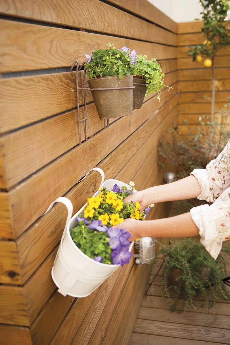 Pared de madera con maceteros colgantes. 