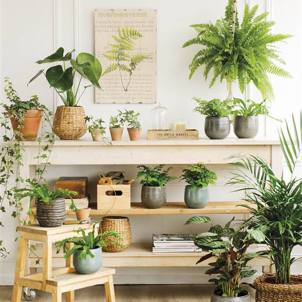 20 plantas y flores artificiales muy decorativas que nos gustan