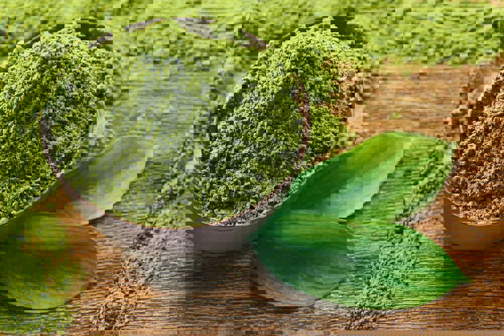 Té matcha 